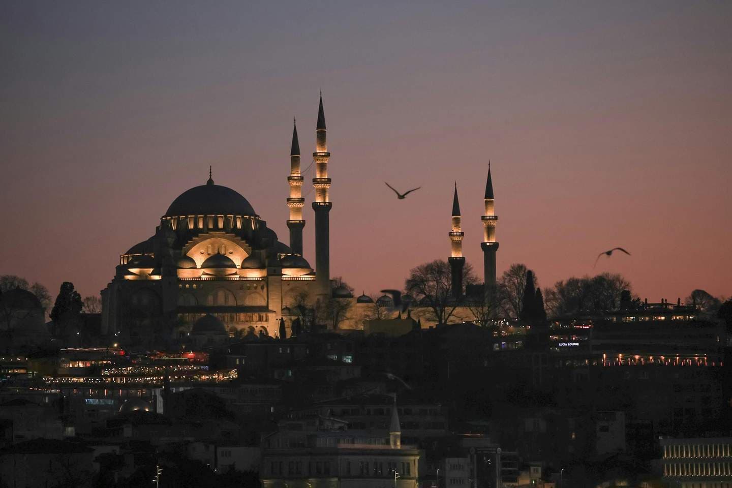 Turkey Sticker Visa